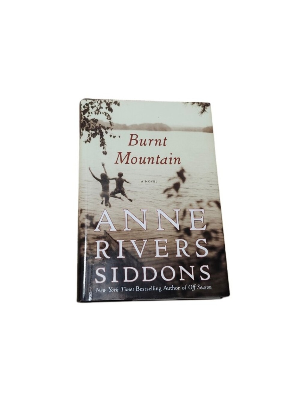 Book/Novel Burnt Mountain By Anne Rivers Siddons Hardcover With Dust Jacket
